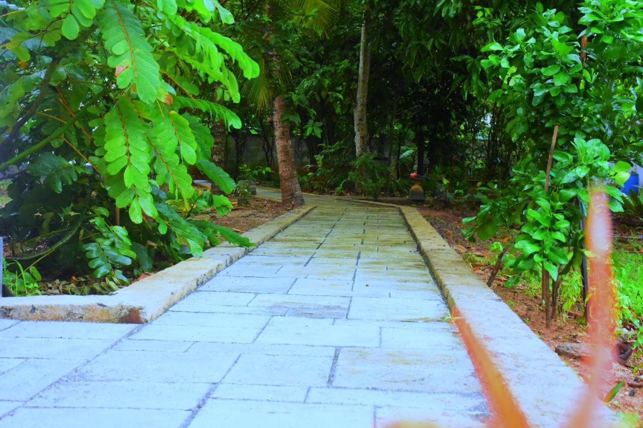 Forest Dew Udawalawe Exterior foto